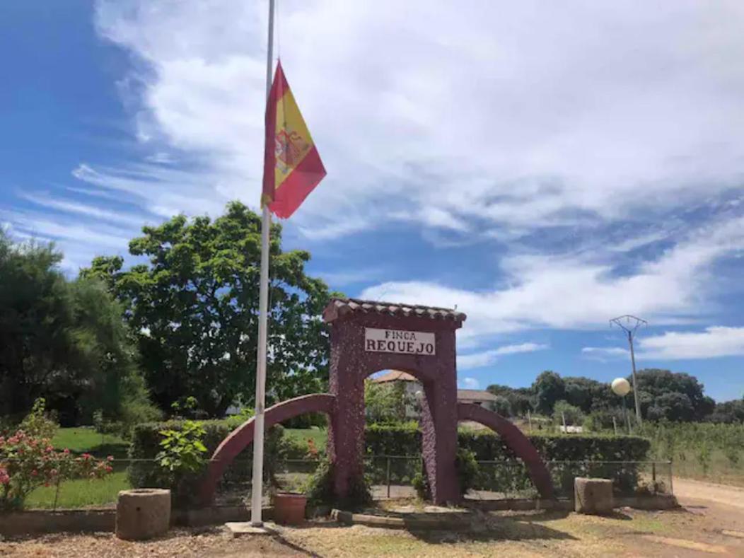 Casa Rural Finca Requejo Cerca De Benavente Tr 49426 Manganeses de la Polvorosa Ngoại thất bức ảnh