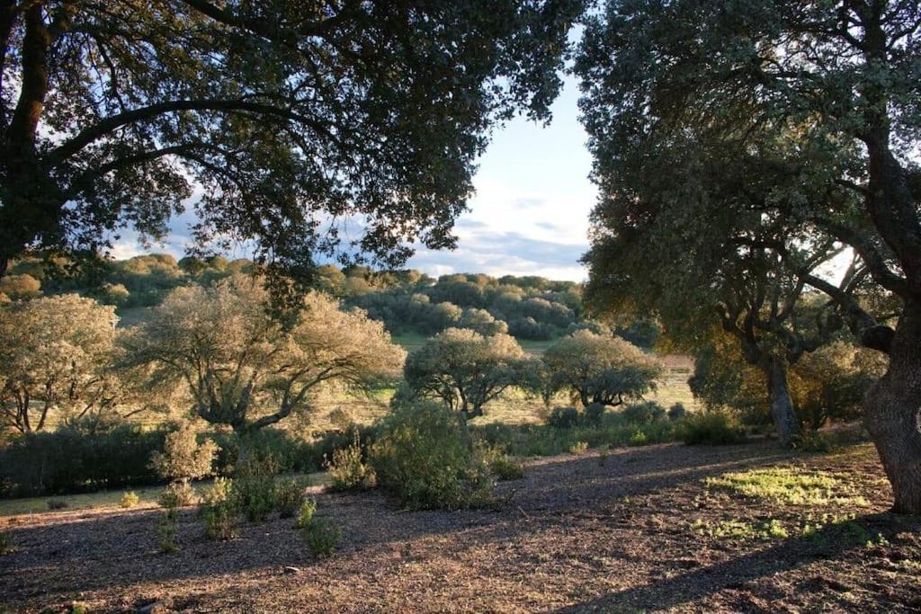 Casa Rural Finca Requejo Cerca De Benavente Tr 49426 Manganeses de la Polvorosa Ngoại thất bức ảnh
